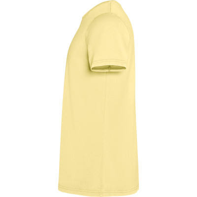 Pánské tričko Corgi