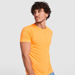 Pánské sportovní tričko Akita