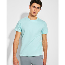 Pánské tričko Beagle