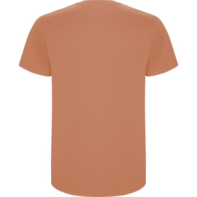 Pánské tričko Stafford