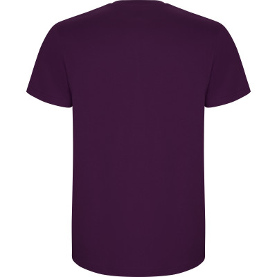 Pánské tričko Stafford