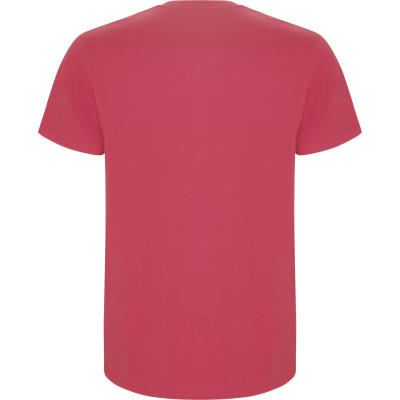 Pánské tričko Stafford