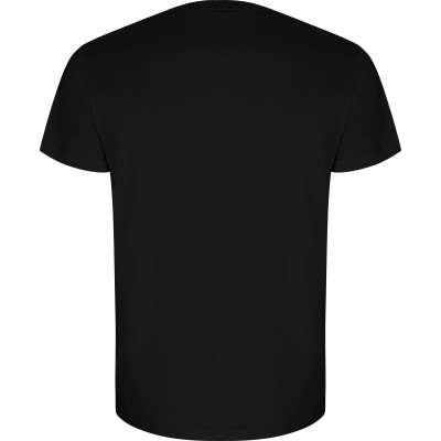 Pánské tričko Golden