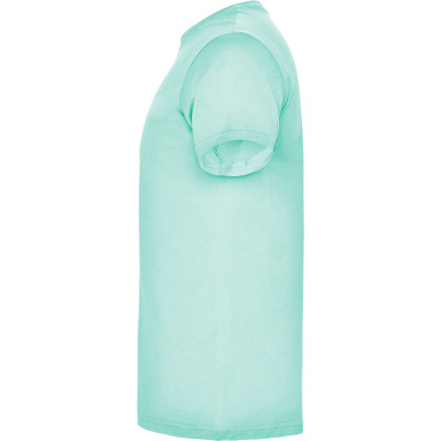 Pánské tričko Beagle