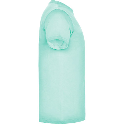 Pánské tričko Beagle