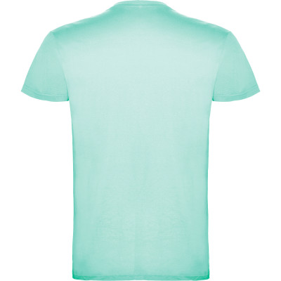 Pánské tričko Beagle