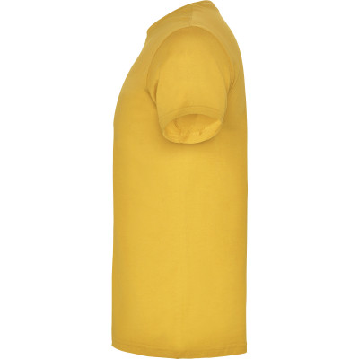 Pánské tričko Beagle