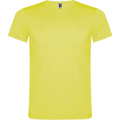 Pánské sportovní tričko Akita