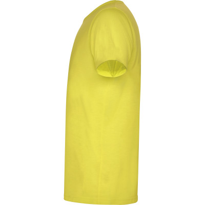 Pánské sportovní tričko Akita