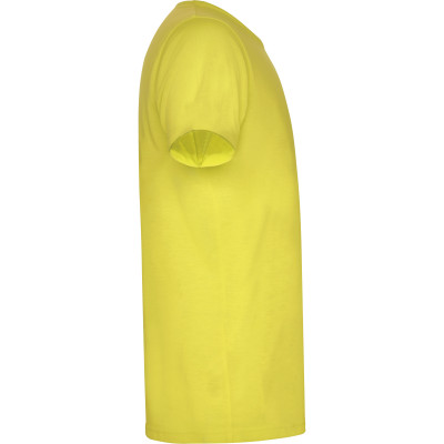 Pánské sportovní tričko Akita