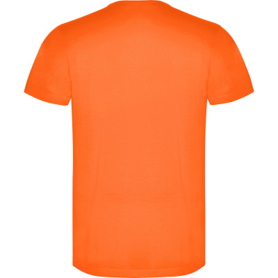 Pánské sportovní tričko Akita