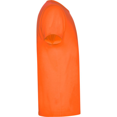 Pánské sportovní tričko Akita