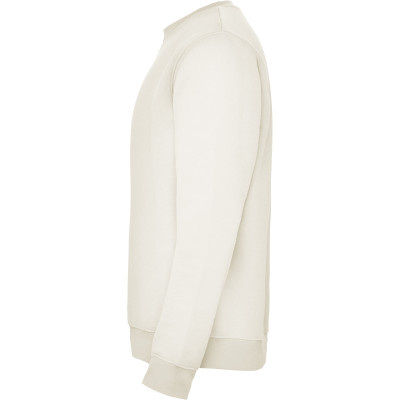 Pánská mikina Clasica