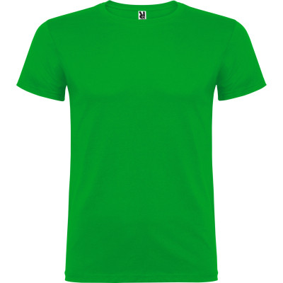 Dětské tričko Beagle