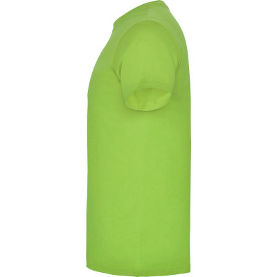 Dětské tričko Beagle