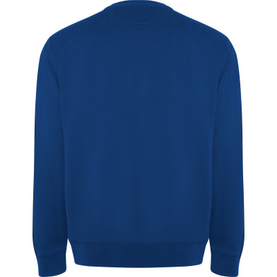 Pánská mikina Batian